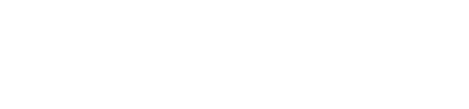 Iveco Logo negativ