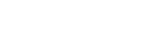 Nutzfahrzeugservice Dummerstorf Logo