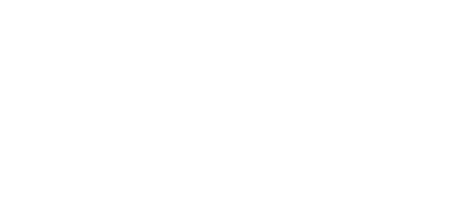 dhollandia logo negativ